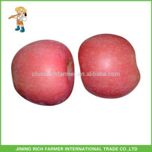 Pomme chinoise fraîche rouge Fuji (emballage 18kg / carton)